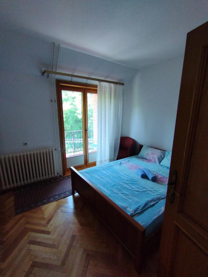 Vila Marko Niska Banja Bagian luar foto